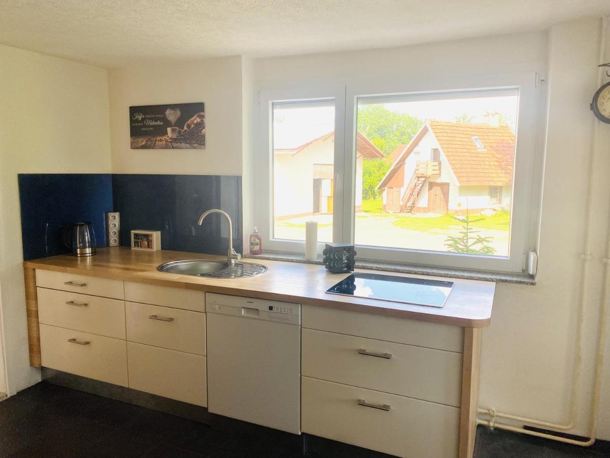 Ferienwohnung Ellenweiler Bis 15 P フリードリヒスハーフェン エクステリア 写真